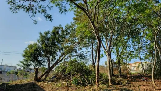 Lote/Terreno à venda, 261m² no Jardim Japão (Caucaia do Alto), Cotia
