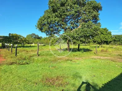 Fazenda/Sítio com 2 Quartos à venda, 13m² no , Poconé