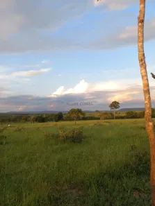 com 2 Quartos à venda, 250m² no , São Pedro da Cipa