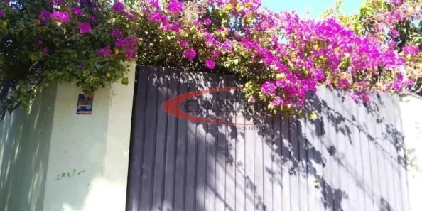 Galpão/Depósito/Armazém para alugar, 700m² no Parque Paulista, Bauru