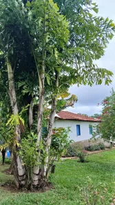 Fazenda/Sítio com 2 Quartos à venda, 90m² no Área Rural de Luziânia, Luziânia