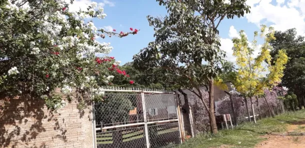 Fazenda/Sítio com 2 Quartos à venda, 246m² no Condomínio São Miguel Arcanjo (Zona Rural), São José do Rio Preto