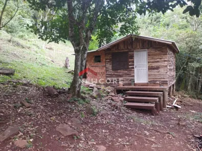 Fazenda/Sítio com 1 Quarto à venda, 55m² no Centro, São Francisco de Paula