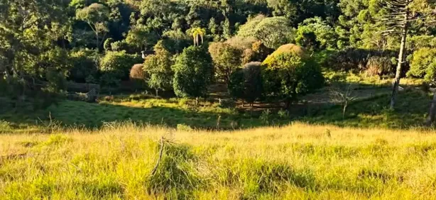 Fazenda/Sítio à venda, 1000m² no , Cambuí