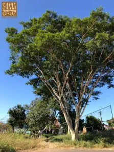 Lote/Terreno à venda, 170m² no Conjunto Residencial Mário Dedini, Piracicaba