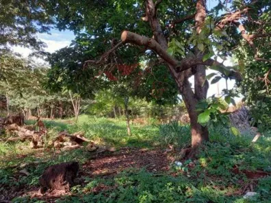 Lote/Terreno para alugar, 3000m² no Ribeirânia, Ribeirão Preto