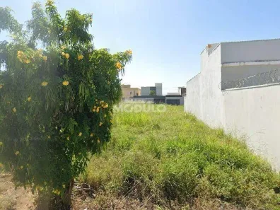 Lote/Terreno à venda, 269m² no Novo Mundo, Uberlândia