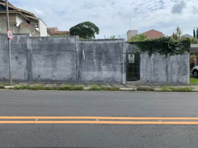 Lote/Terreno à venda, 450m² no Vila Oliveira, Mogi das Cruzes