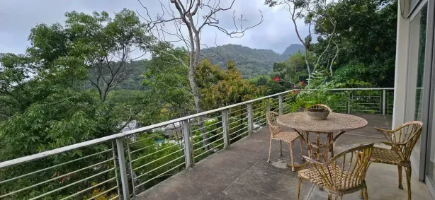 Casa com 4 Quartos à venda, 1330m² no Jardim Botânico, Rio de Janeiro