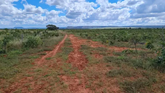 Fazenda/Sítio à venda, 46000000m² no , Mambaí