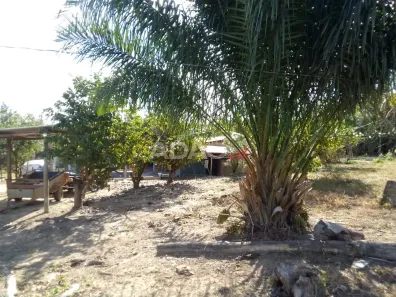 Fazenda/Sítio à venda, 19m² no , Gameleira de Goiás