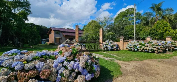 Fazenda/Sítio com 5 Quartos à venda, 242m² no Campestre da Faxina, São José dos Pinhais