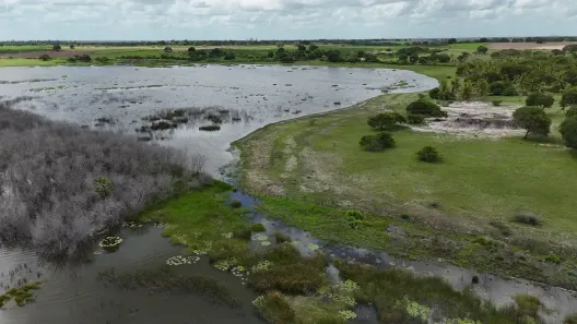 Fazenda/Sítio com 3 Quartos à venda, 199000m² no , Lagoa Salgada