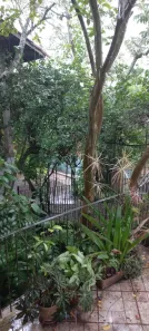 Lote/Terreno com 1 Quarto à venda, 8000m² no Lomba do Pinheiro, Porto Alegre