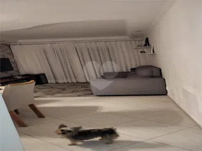 Apartamento com 3 Quartos à venda, 81m² no Vila Firmiano Pinto, São Paulo