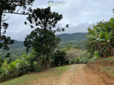Fazenda/Sítio com 2 Quartos à venda, 36600m² no Rio Sagrado, Morretes