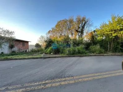 Lote/Terreno à venda, 19000m² no Brandalise, Caxias do Sul