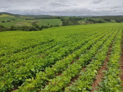 Fazenda/Sítio com 1 Quarto à venda, 484000m² no , Pilar do Sul
