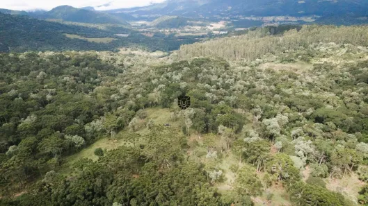 Fazenda/Sítio à venda, 35000m² no Águas Brancas, Urubici