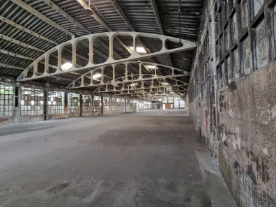 Galpão/Depósito/Armazém para alugar, 5000m² no Vila Ribeiro de Barros, São Paulo
