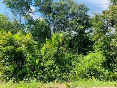 Fazenda/Sítio à venda, 1000000m² no Centro, Humaitá