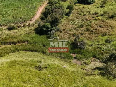 Fazenda/Sítio à venda, 500m² no , Anicuns