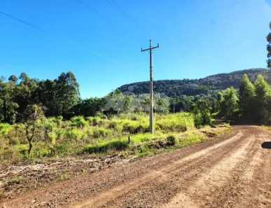 Fazenda/Sítio com 1 Quarto à venda, 5000m² no Linha Nova, Linha Nova