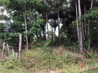 Lote/Terreno à venda, 16996m² no Centro, Barreirinhas