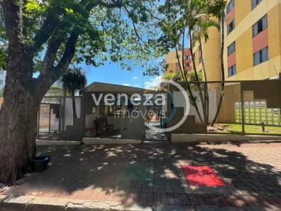 Apartamento com 3 Quartos para alugar, 72m² no Gleba Fazenda Palhano, Londrina