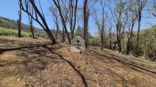 Lote/Terreno à venda, 38970m² no Pedro do Rio, Petrópolis