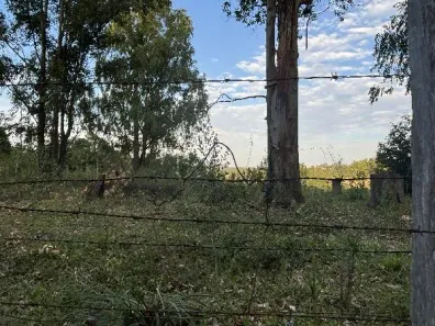 Lote/Terreno à venda, 2112m² no , Eldorado do Sul