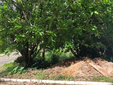 Lote/Terreno à venda, 828m² no Cônego, Nova Friburgo