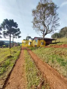 Fazenda/Sítio à venda, 8500m² no Cidade Nova, Caxias do Sul