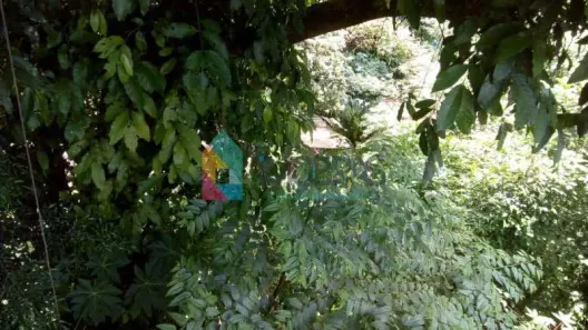 Lote/Terreno à venda, 750m² no Cosme Velho, Rio de Janeiro