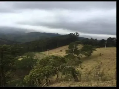 Fazenda/Sítio com 2 Quartos à venda, 22000m² no , Piracaia