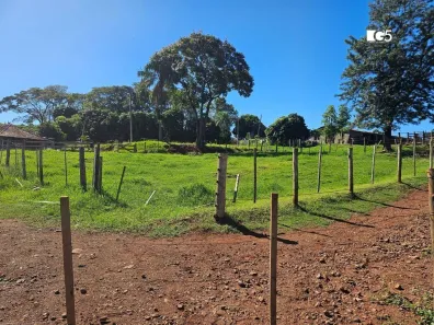 Fazenda/Sítio à venda, 768000m² no Vila São Francisco, Apucarana