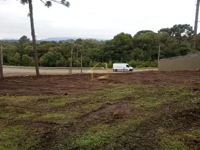 para alugar, 3000m² no Jardim da Colina, Campina Grande do Sul