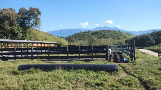 Fazenda/Sítio com 3 Quartos à venda, 726000m² no Cadetes Fabres, Guapimirim