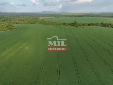 Fazenda/Sítio à venda, 500m² no , Santana do Araguaia