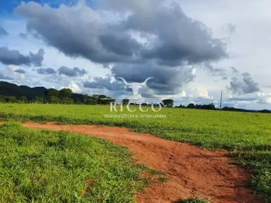 Fazenda/Sítio com 1 Quarto à venda, 70m² no Setor Central, São Francisco de Goiás