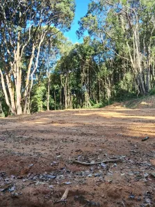 Lote/Terreno à venda, 4165m² no Centro, Juquitiba