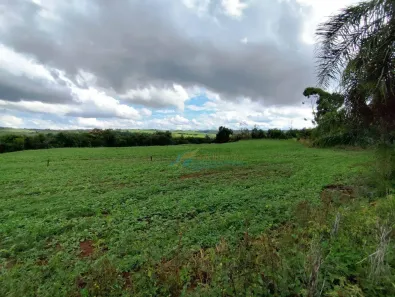 Fazenda/Sítio à venda, 96800m² no , Guaraniaçu
