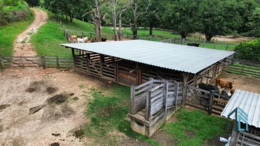 Fazenda/Sítio com 2 Quartos à venda, 39360m² no , Campinaçu