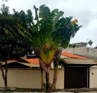 Casa com 3 Quartos à venda, 123m² no Residencial Ana Maria, São José dos Campos
