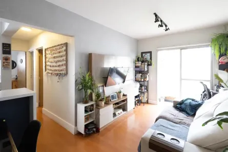 Apartamento com 2 Quartos à venda, 55m² no Vila Ipojuca, São Paulo