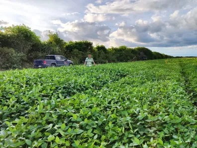 Fazenda/Sítio à venda, 34010000m² no Zona Rural, Palmeira do Piauí