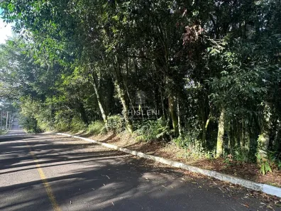 Lote/Terreno à venda, 1320m² no Ipê Amarelo, Gramado
