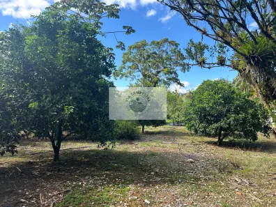 Lote/Terreno à venda, 900m² no QUIRIRI, Garuva