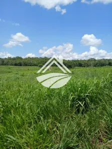 Fazenda/Sítio à venda, 10840000m² no , Santa Maria do Tocantins