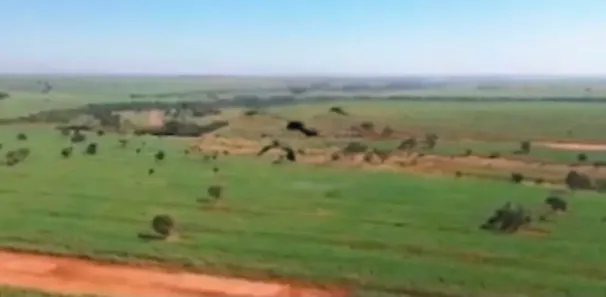 Fazenda/Sítio com 2 Quartos à venda, 1452000m² no Centro, Populina